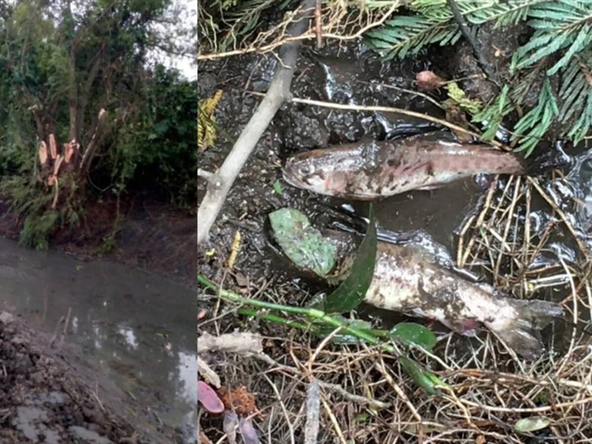 Denuncian destrucción de los ríos de Cundinamarca por adecuaciones de la CAR