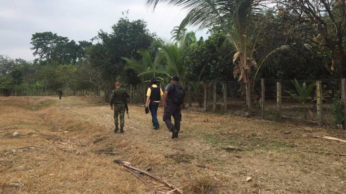 Buscarán recuperar los predios invadidos en menos de 48 horas