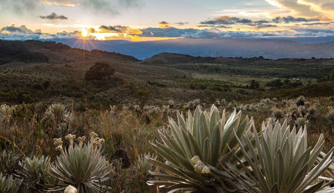 Más de 110 lagunas y humedales de alta montaña, su mayoría en Santander, decoran el paisaje del páramo de Almorzadero.