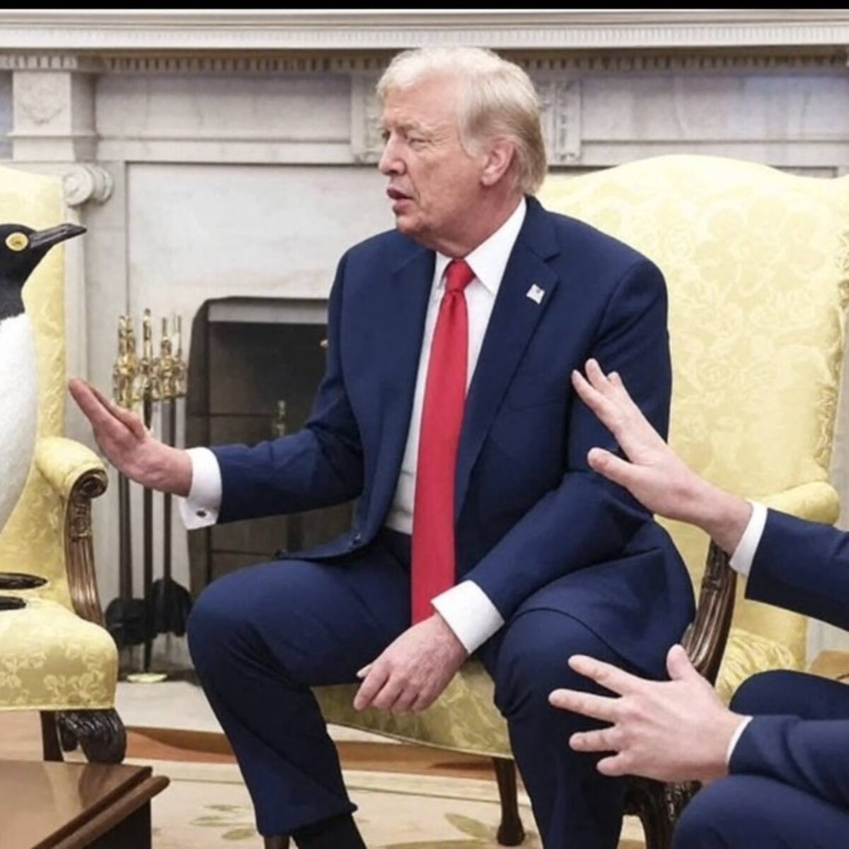 Trump, pingüinos y aranceles, la nueva polémica en la guerra comercial