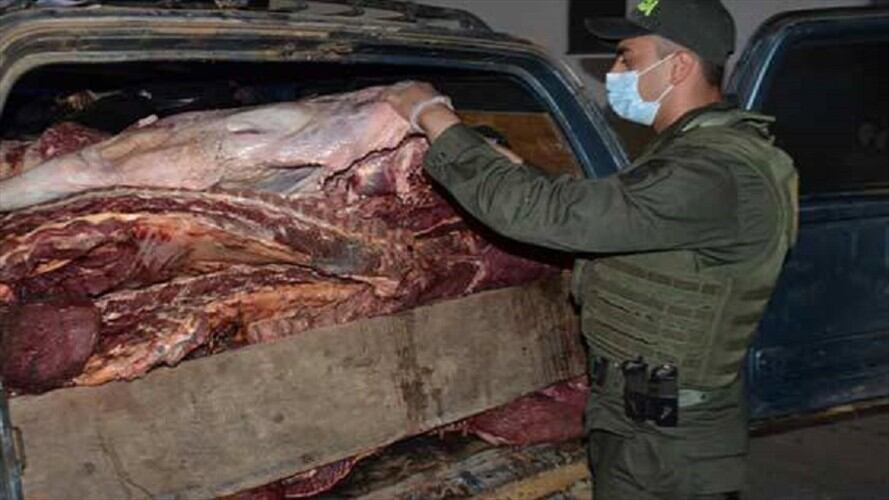 Desmantelan "cartel de la carne" en la frontera colombo-venezolana . Foto: Colprensa