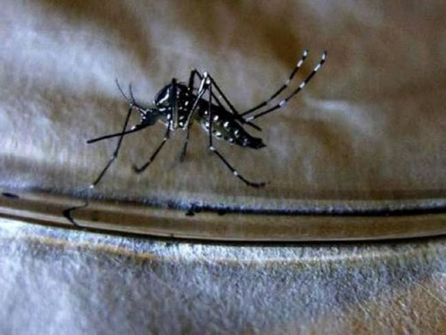 El jefe médico del centro asistencial confirmó que hay casos de dengue grave en la Unidad de Cuidados Intensivos