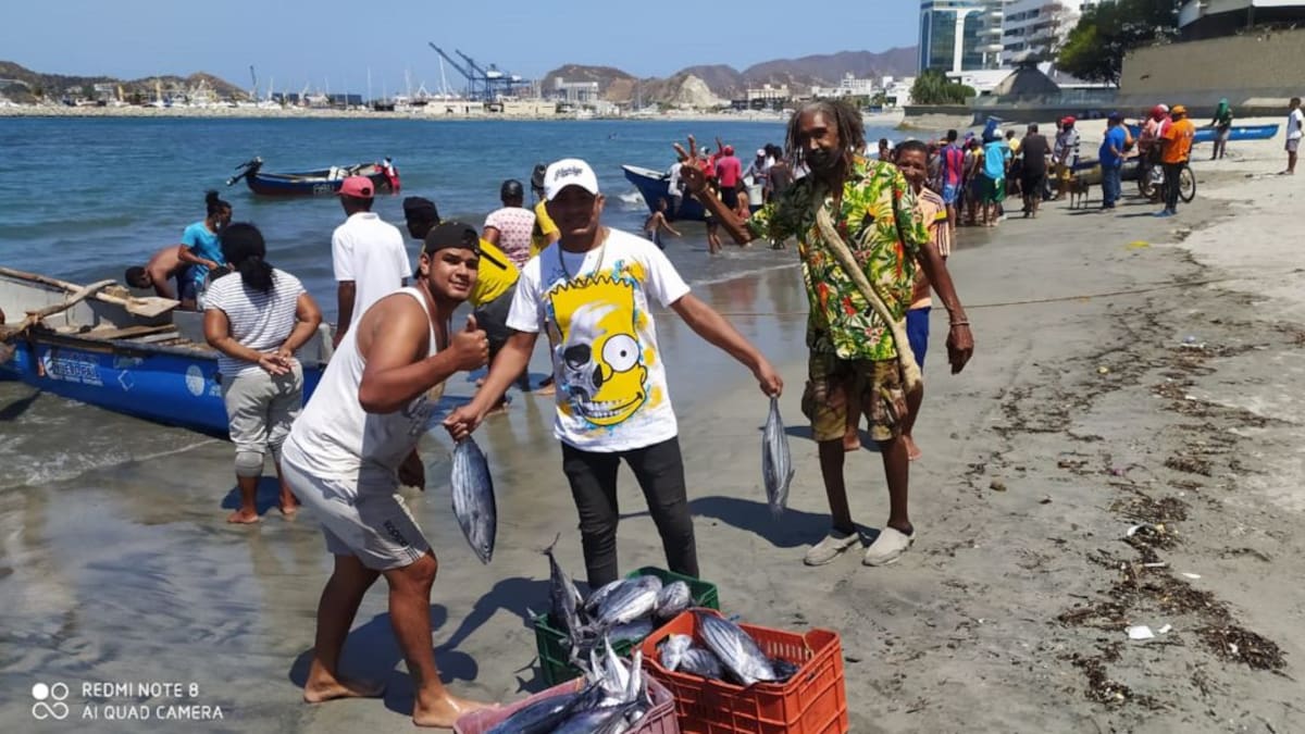 La subienda que mejora la economía de los pescadores de Santa Marta