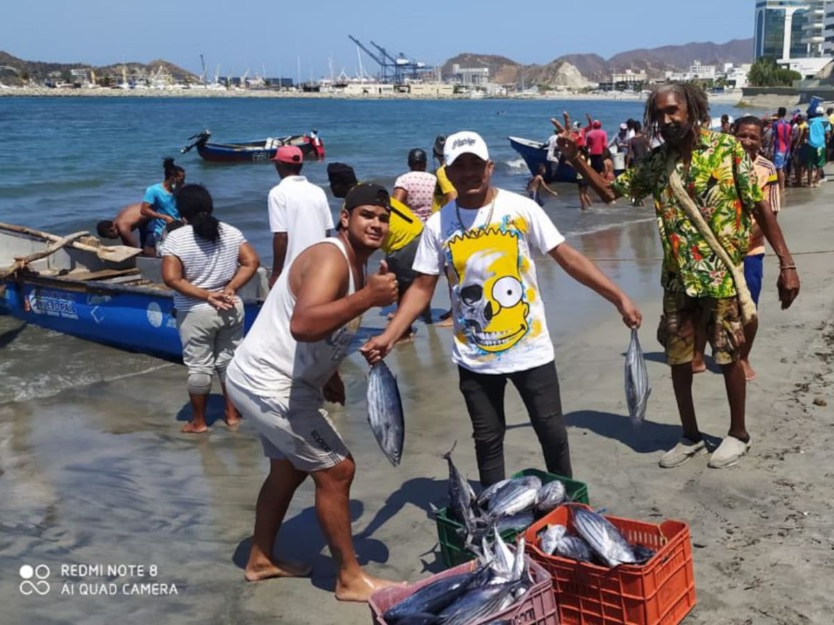 La subienda que mejora la economía de los pescadores de Santa Marta