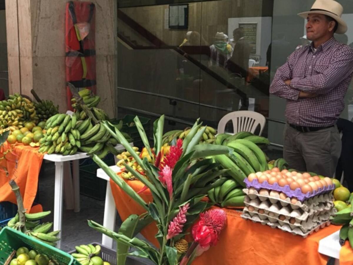 Fenómeno de El Niño sigue generando alzas en precios de alimentos