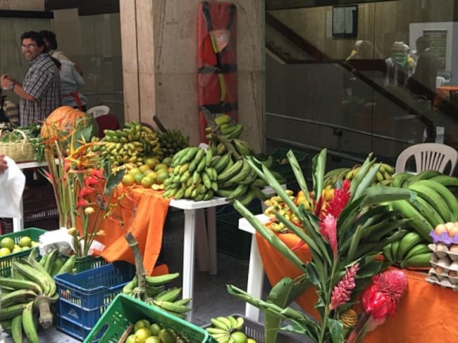 Fenómeno de El Niño sigue generando alzas en precios de alimentos