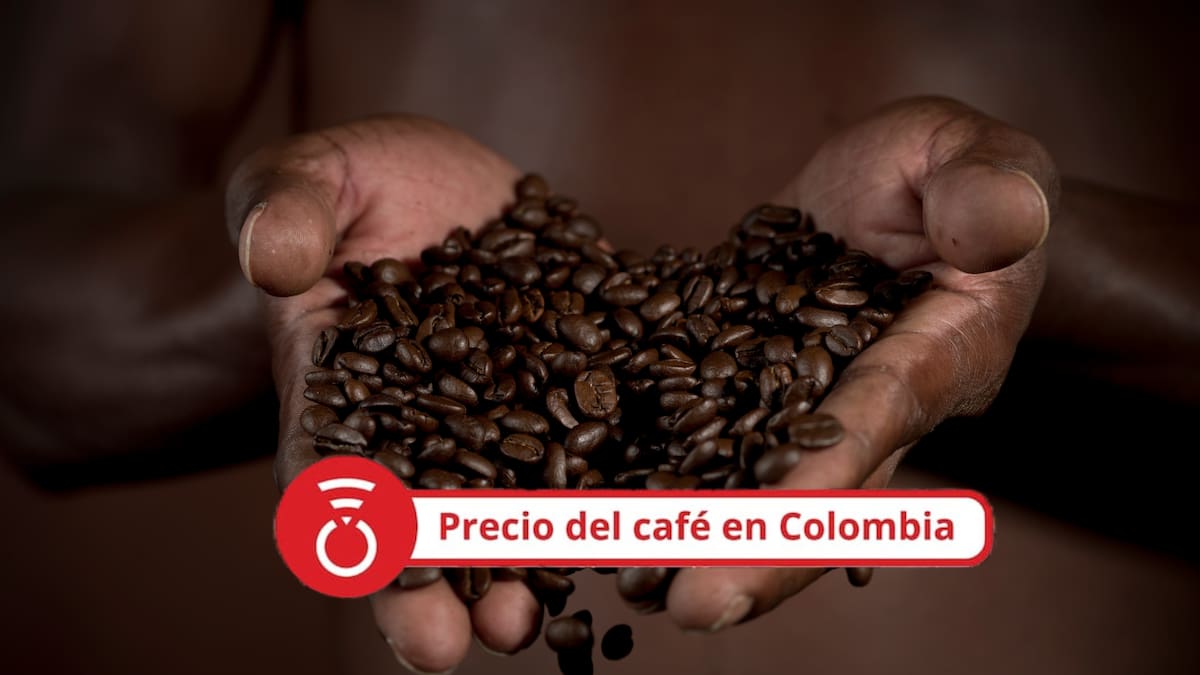 Precio del café HOY 6 de agosto: El precio del grano cayó en el último reporte