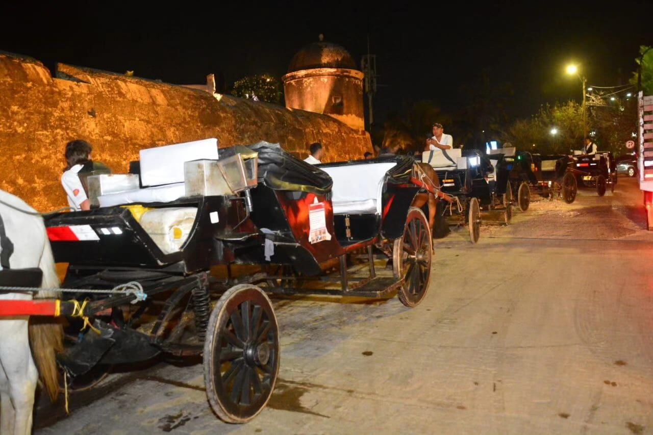 Seis comparendos y dos inmovilizaciones a cocheros dejó operativo de control