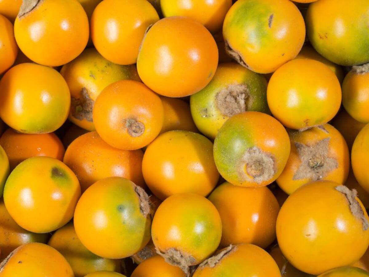 Lulo a punto de perderse por bloqueos en el Huila