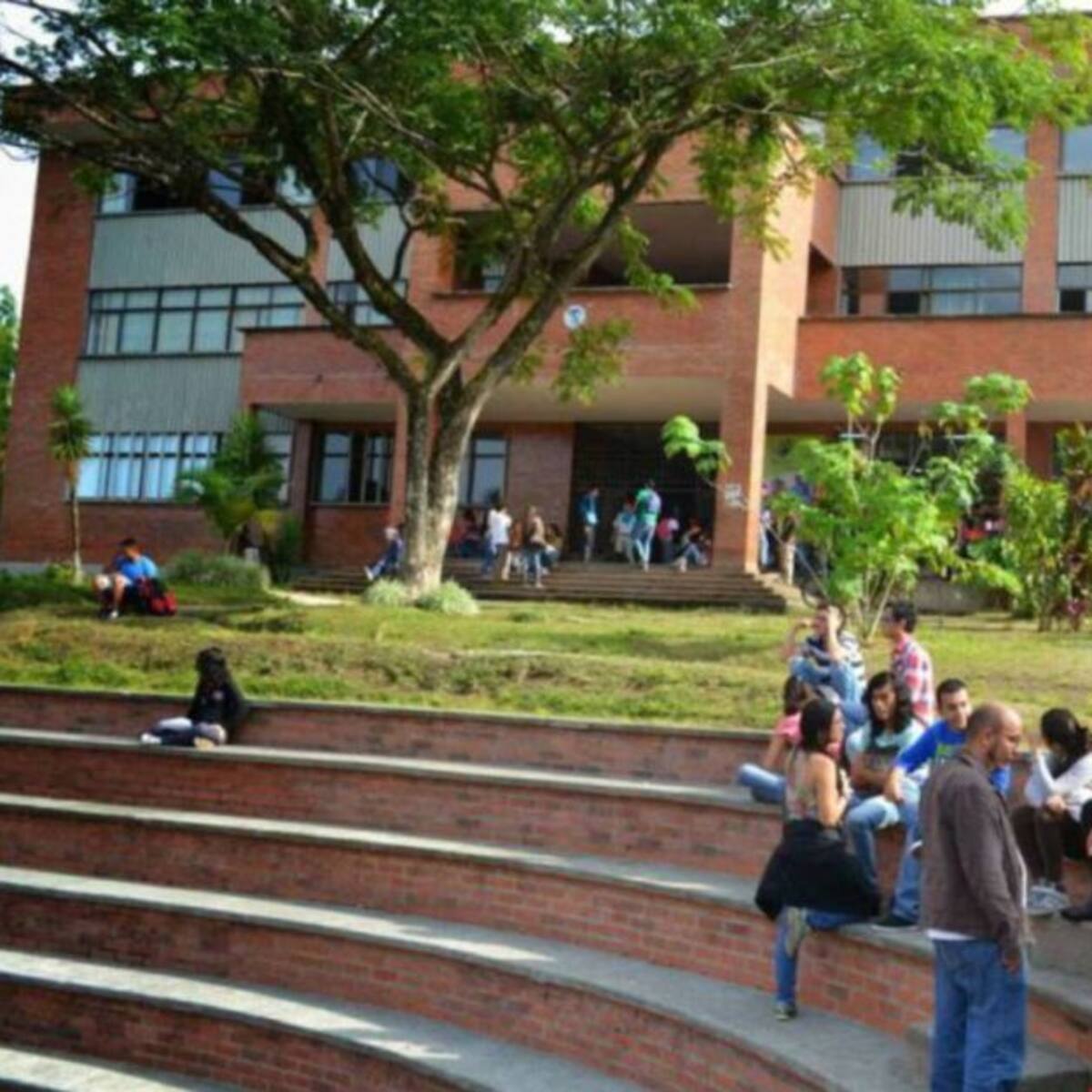 Suspenden emisión de recibos de pago en Universidad Tecnológica de Pereira