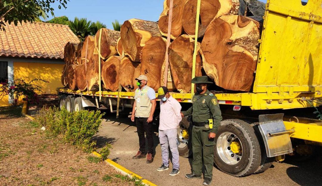 Decomisaron 35 metros cúbicos de madera transportada ilegalmente