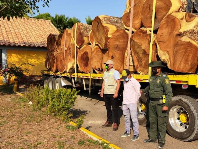 Decomisaron 35 metros cúbicos de madera transportada ilegalmente