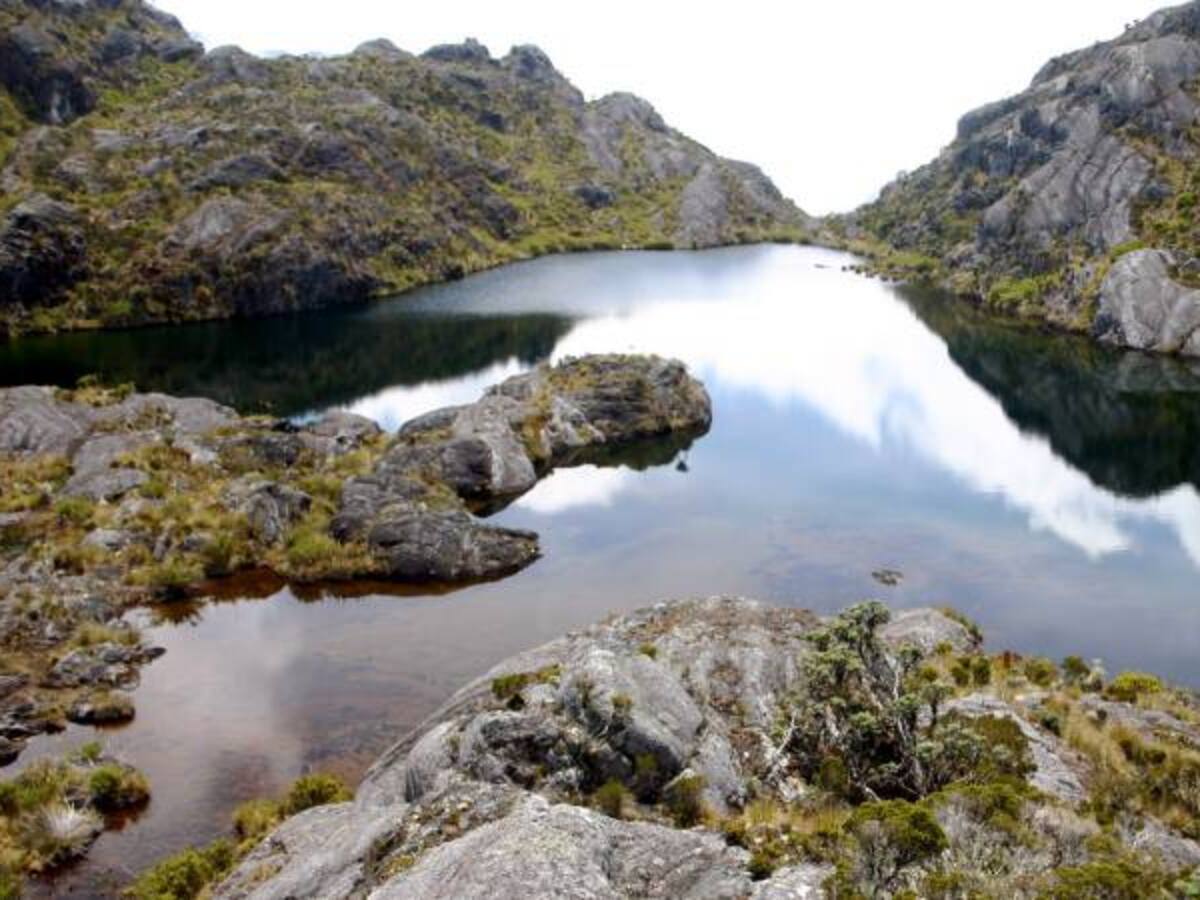 Incendios han quemado frailejones en el Páramo de Santurbán