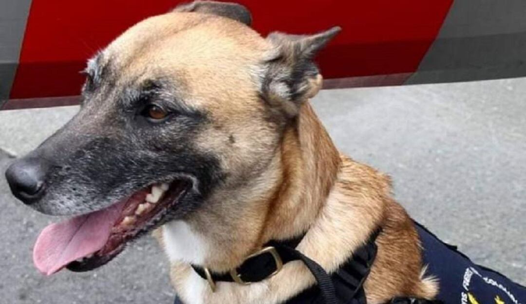 Capturado responsable de atentado 