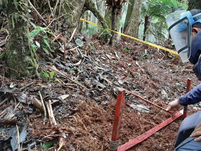 Nuevas zonas libres de minas antipersona en Tolima
