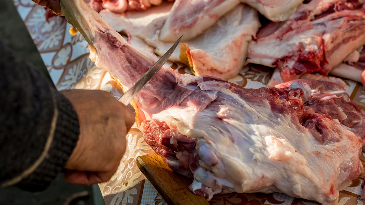 Fuerte rechazo al sacrificio informal de ganado porcino, expresa Porkcolombia
