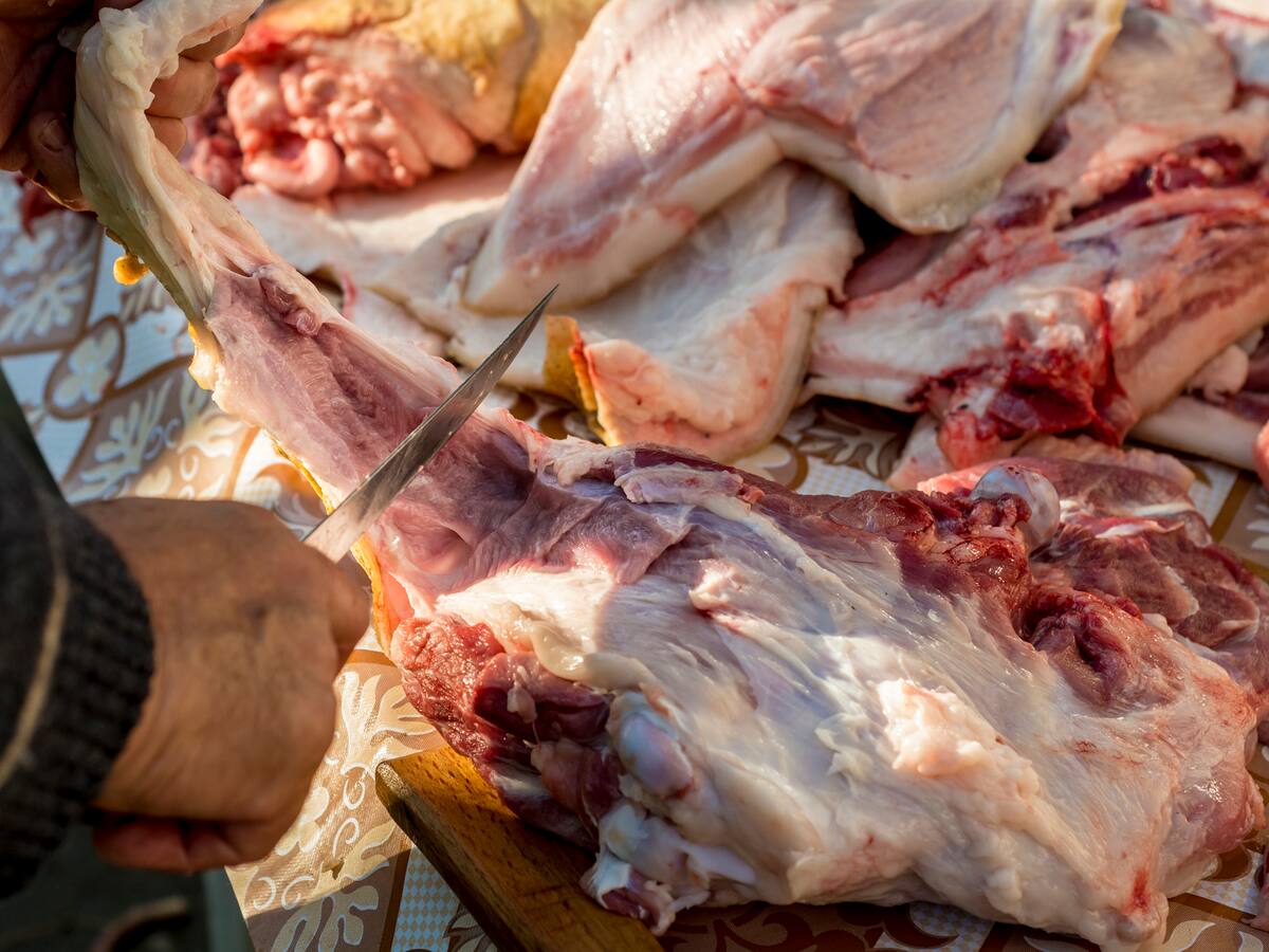 No a las “marranadas” y al sacrificio ilegal de cerdos, expresa Porkcolombia