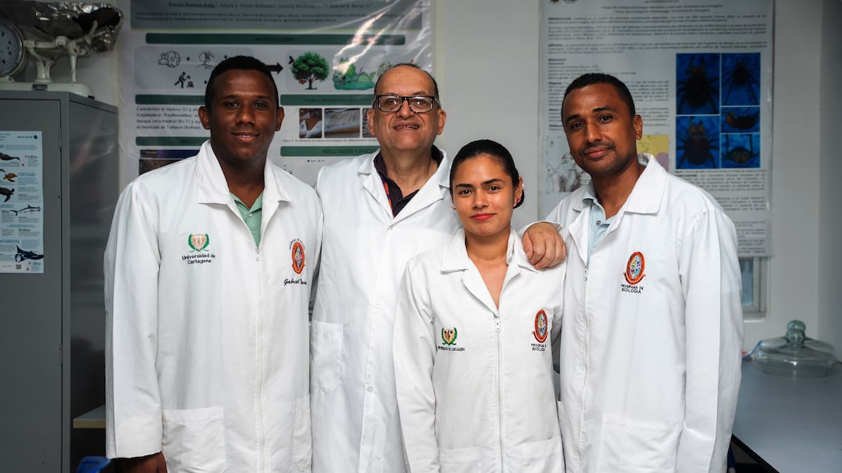 Egresados de Unicartagena descubren once nuevas especies de artrópodos neotropicales