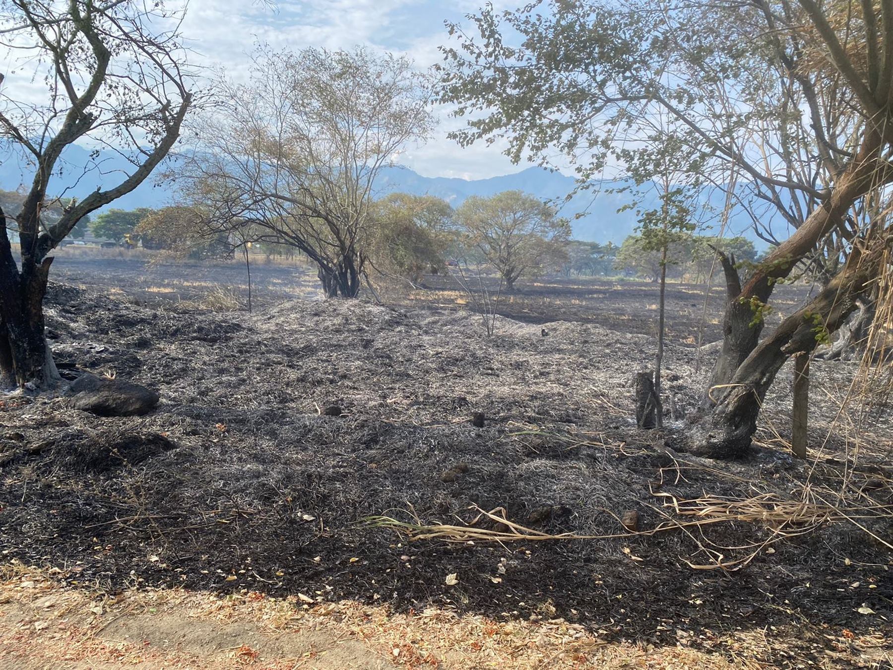 Incendio forestal en el Tolima