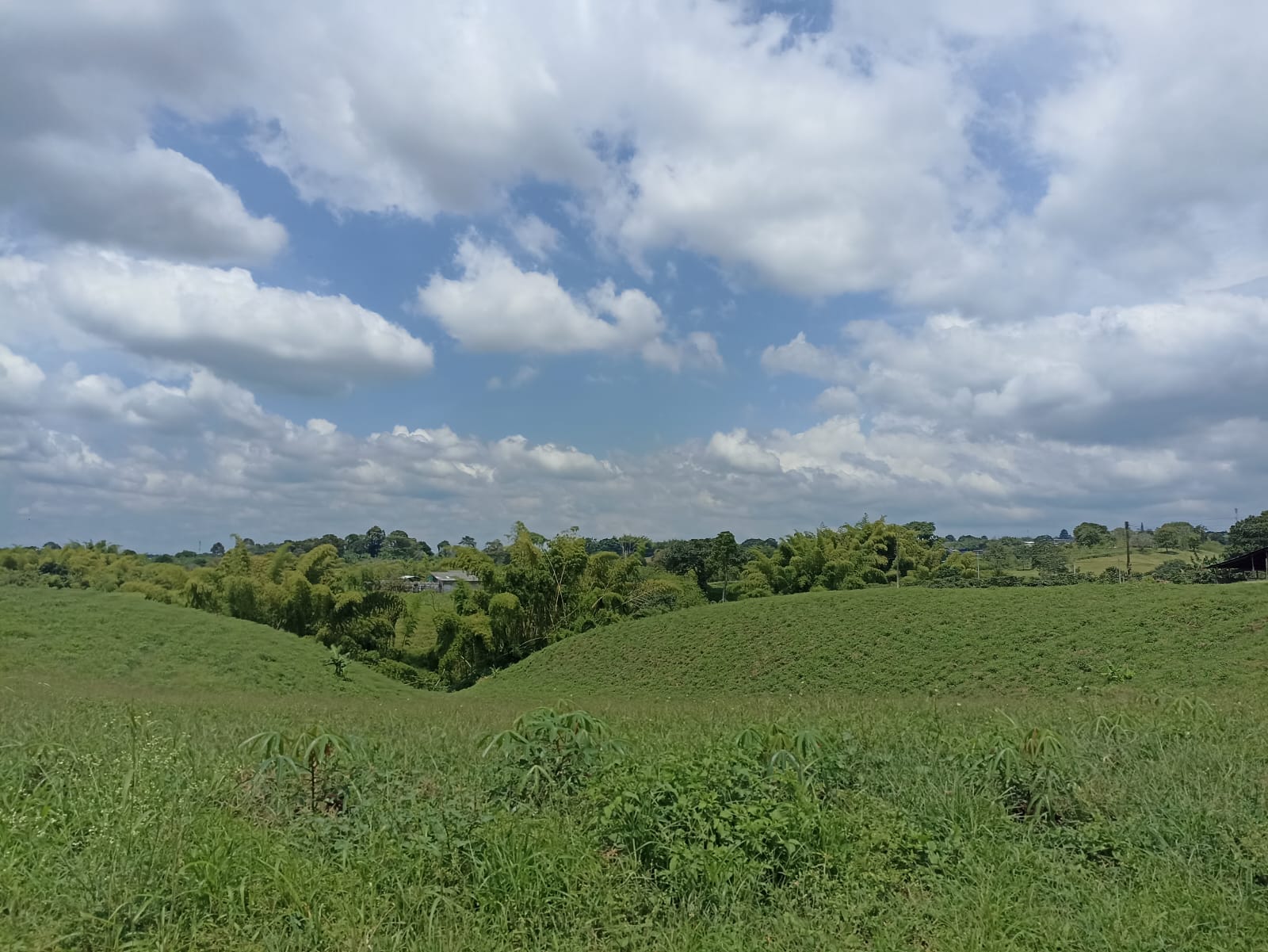 Hermosos paisajes de Armenia, Quindío