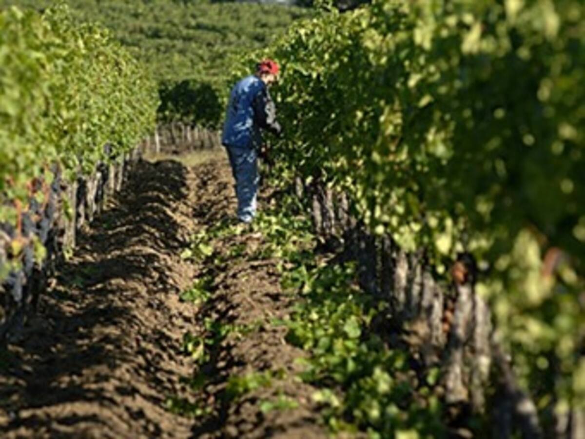 El Abecé del plan de choque del Gobierno para reactivar la industria y el agro