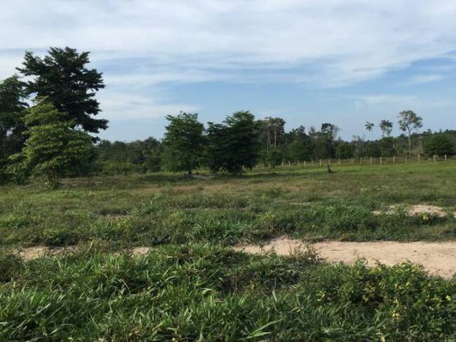 El Catatumbo, la zona donde a las Farc les cogerá la tarde para concentrarse