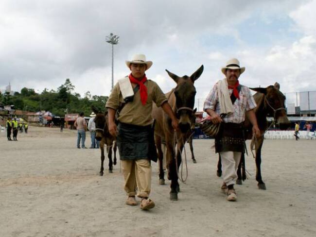 Hoy se presentará el proyecto “Arrieros López de Micay” en el Cauca