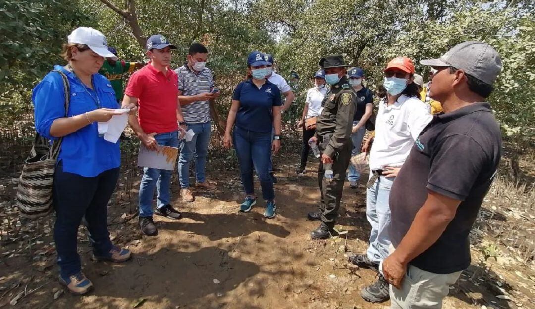 Se identificaron acciones conjuntas para la rehabilitación y protección del ecosistema de mangle