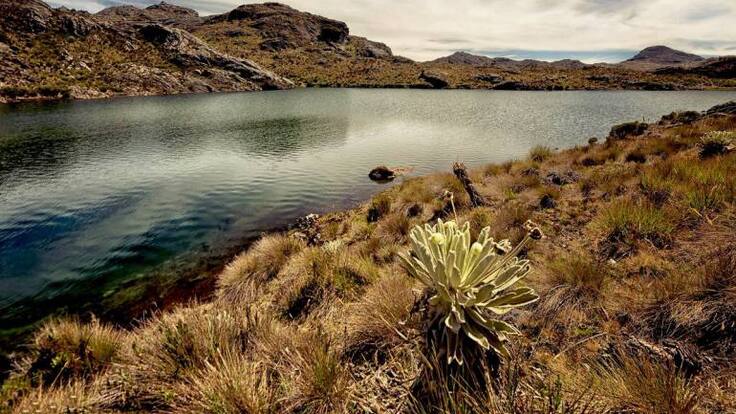 Informe María Alejandra Rodriguez