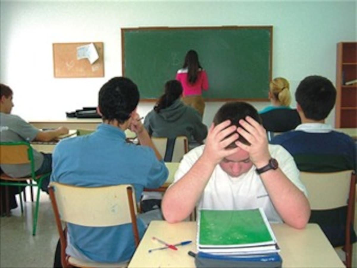 Gobierno planteará nueva política contra el matoneo escolar