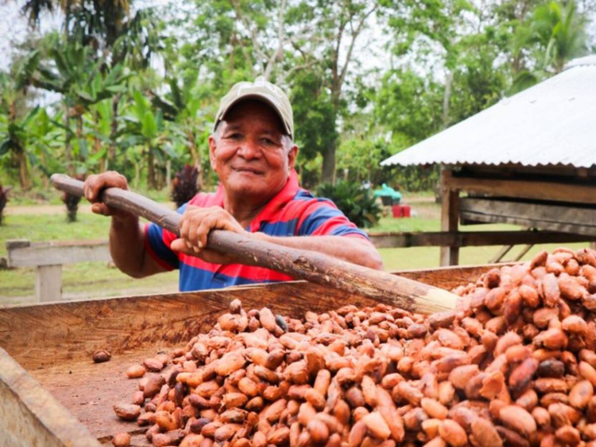 Más de 472 mil millones de pesos para implementar los PDET en Córdoba