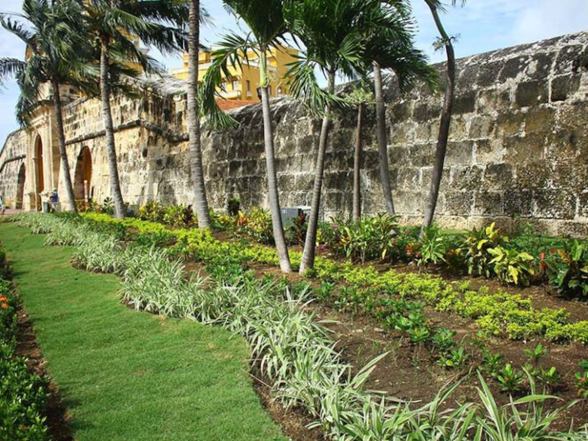 Finaliza revitalización de jardines en Plaza de la Paz de Cartagena