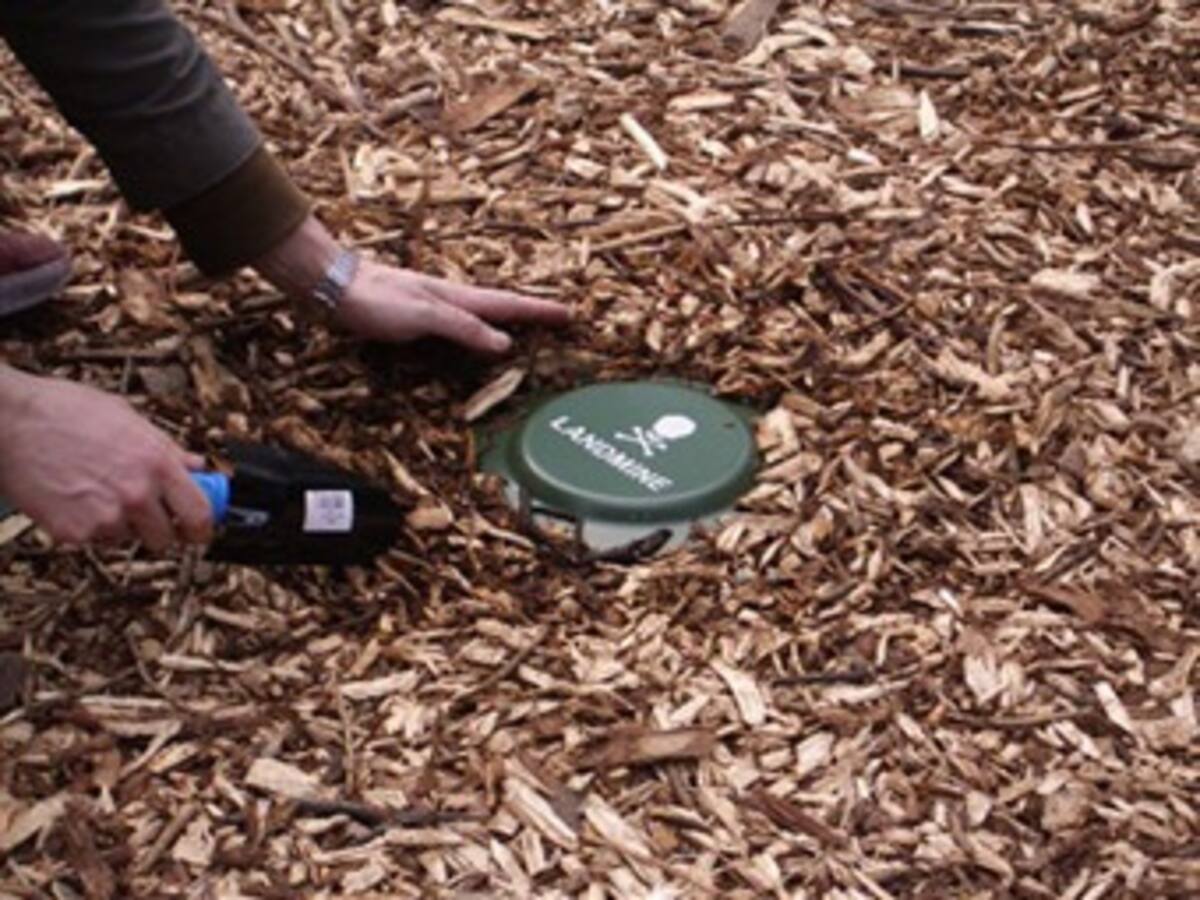 Las Farc siguen sembrando minas en el Caquetá: Policía