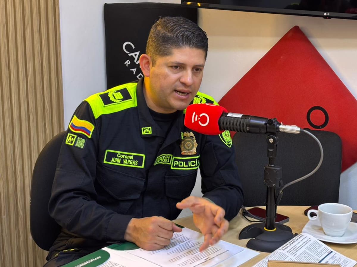 “Alias Chapolo está al mando”: comandante de la Policía en el Tolima tras asonada en Ataco