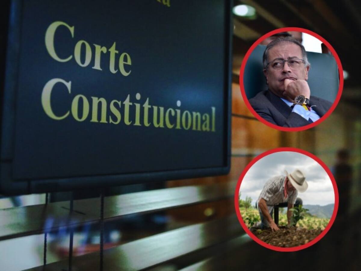 Pulso entre Petro y Corte Constitucional por tumbar norma llamada ‘Expropiación exprés’