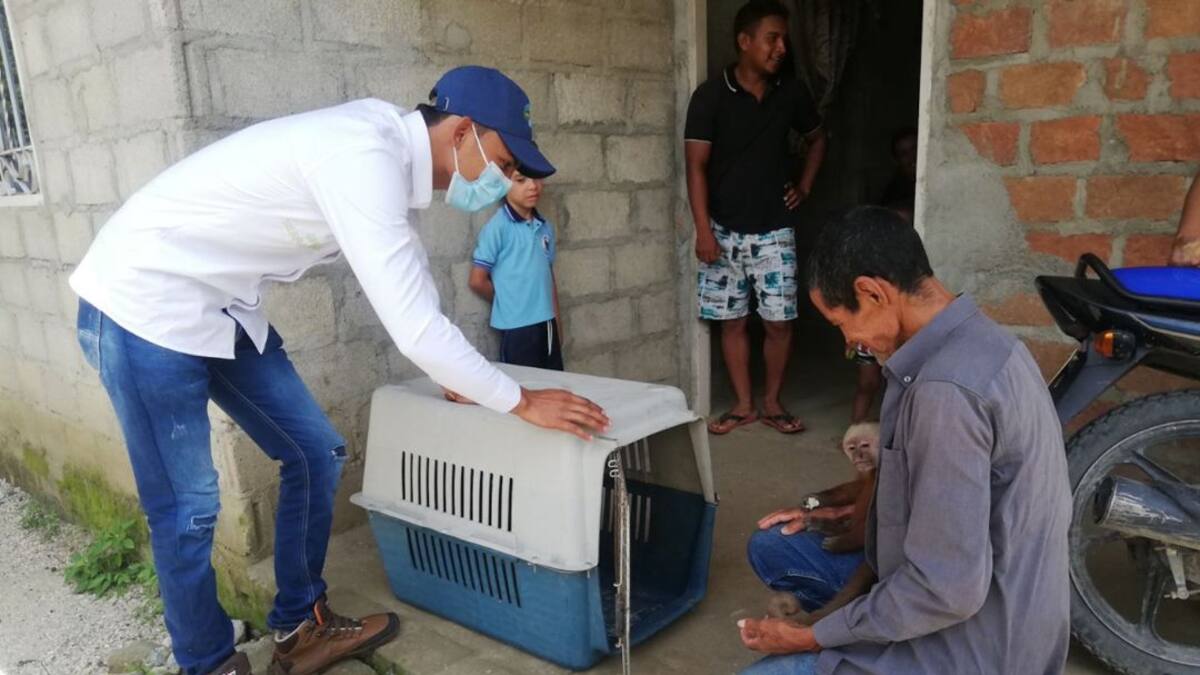 Más de 800 animales silvestres han sido liberados en el Magdalena