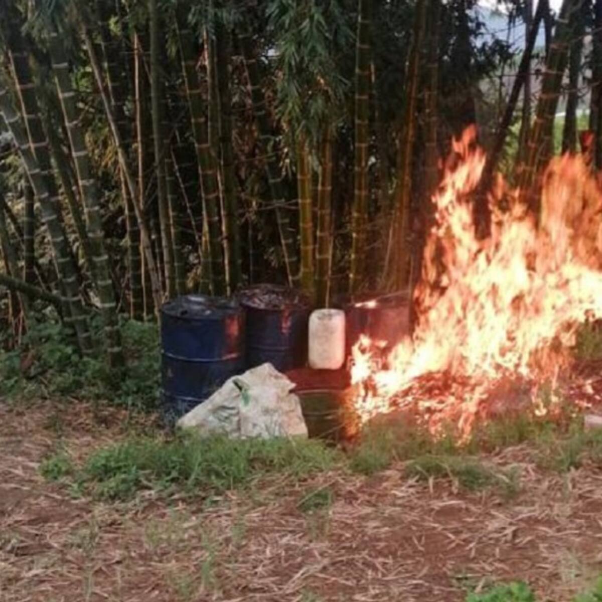 Destruyen laboratorio de procesamiento de coca en Jamundí, Valle