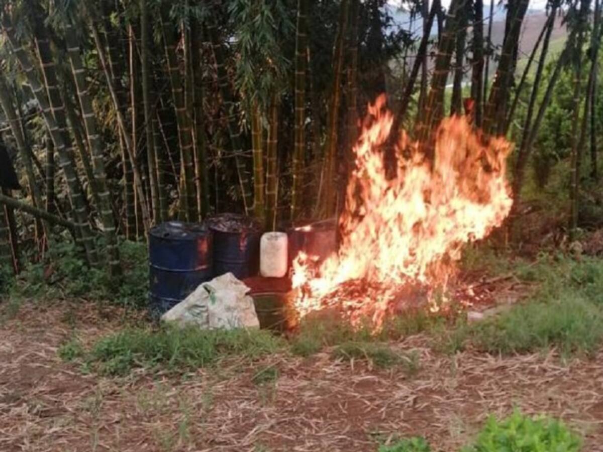 Destruyen laboratorio de procesamiento de coca en Jamundí, Valle