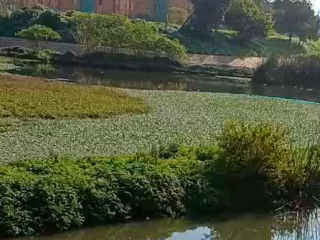 Hallaron el cuerpo sin vida de un hombre en el humedal Jaboque, en el noroccidente de Bogotá.