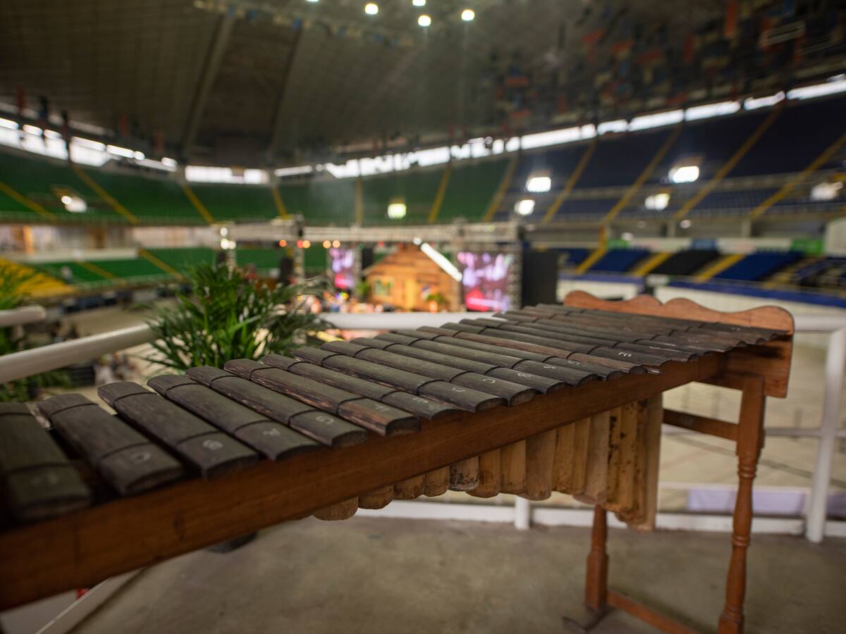 Hablar del Pacífico es hablar de la música, es hablar de la marimba de chonta