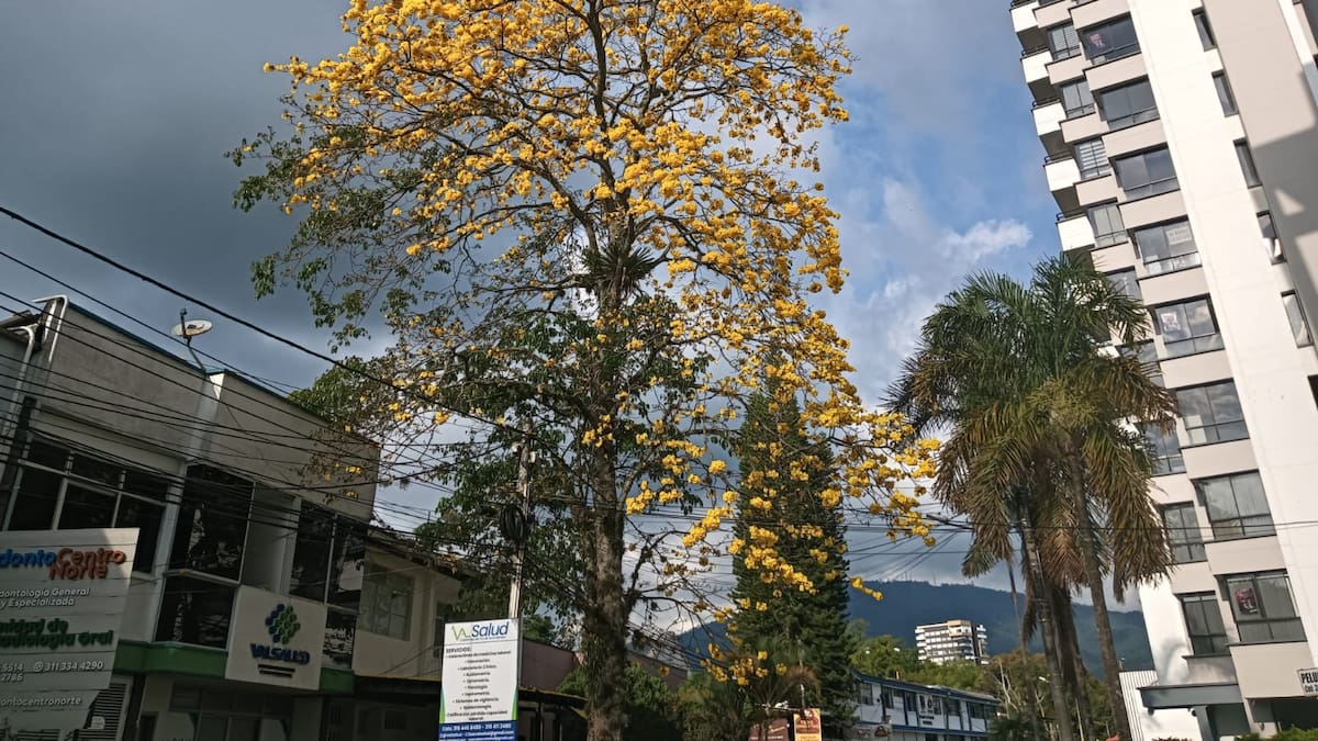 Martes 26 de mayo, las noticias más importantes de Armenia y Quindío