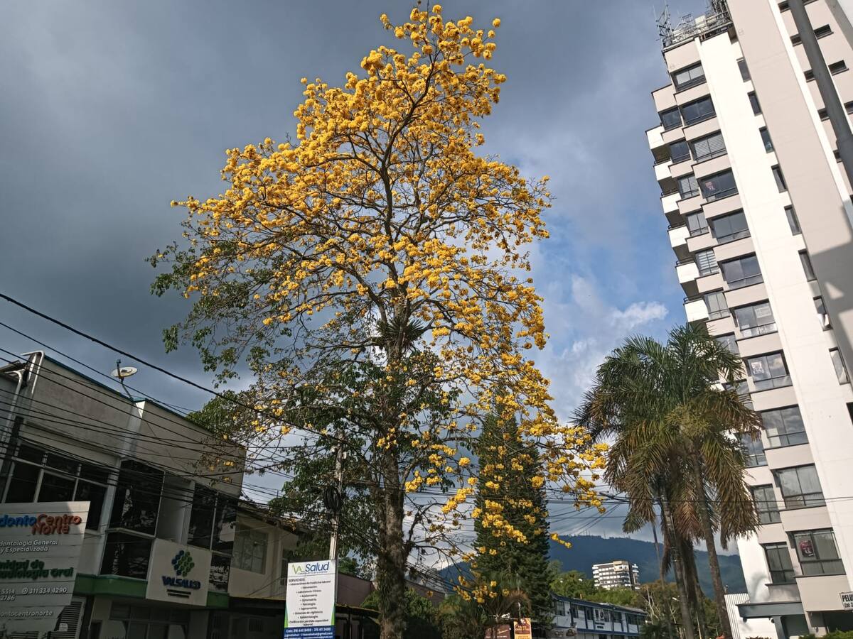 Martes 26 de mayo, las noticias más importantes de Armenia y Quindío