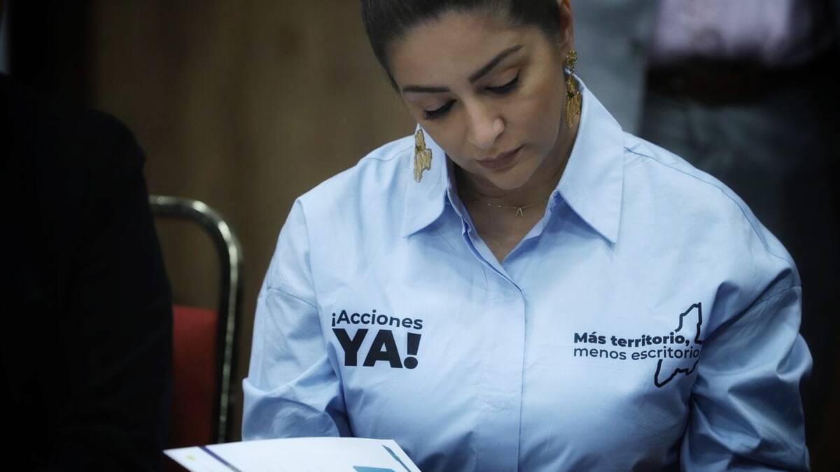 Gobernadora pide que el Tolima sea incluido en la suspensión del cese al fuego con EMC