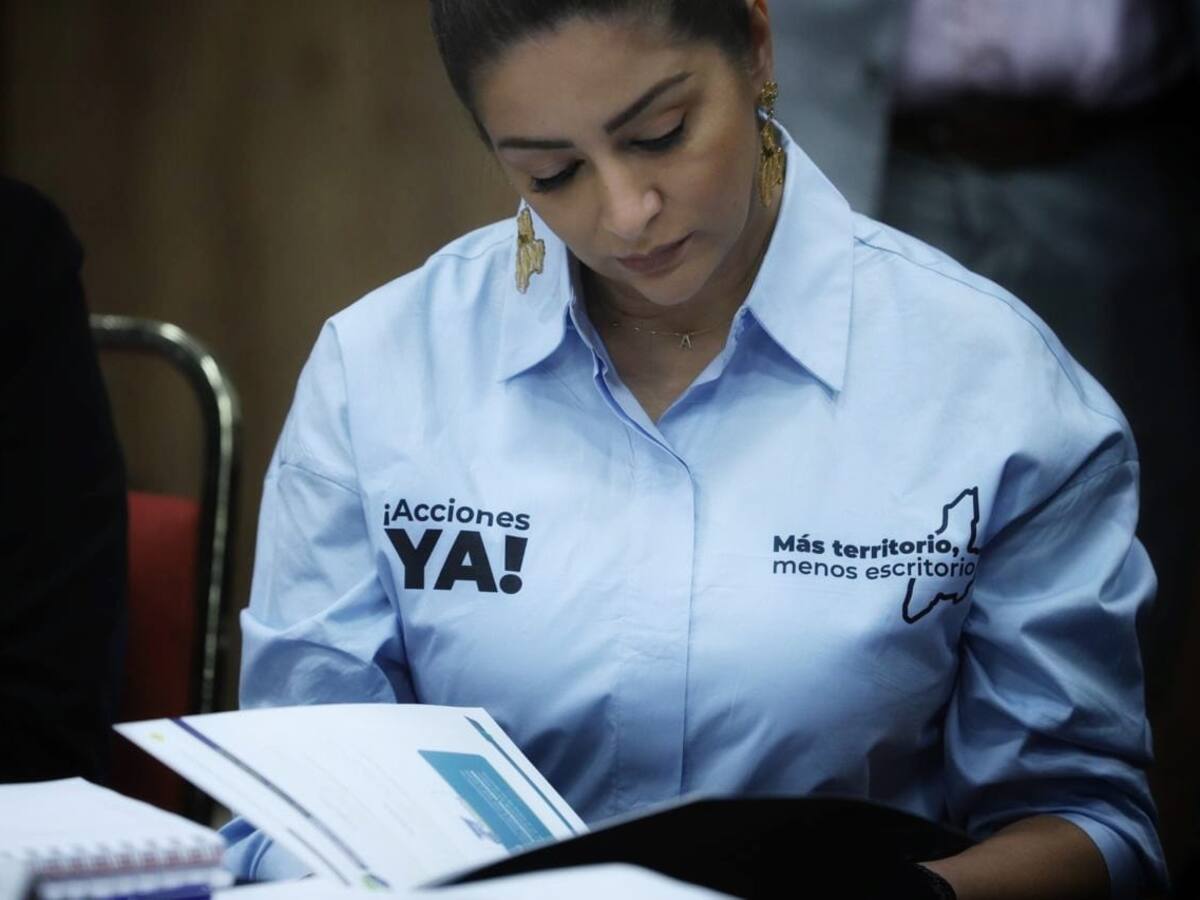 Gobernadora pide que el Tolima sea incluido en la suspensión del cese al fuego con EMC