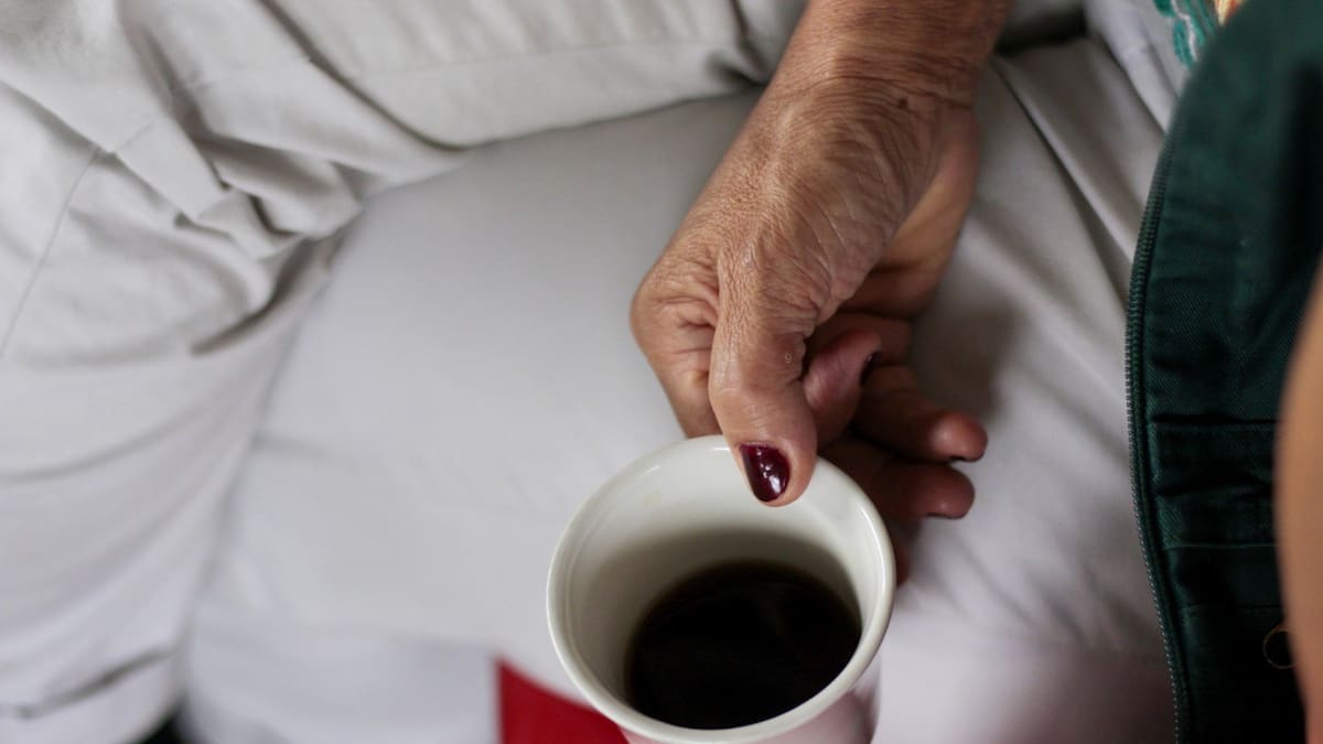 Informe sobre el día nacional del café