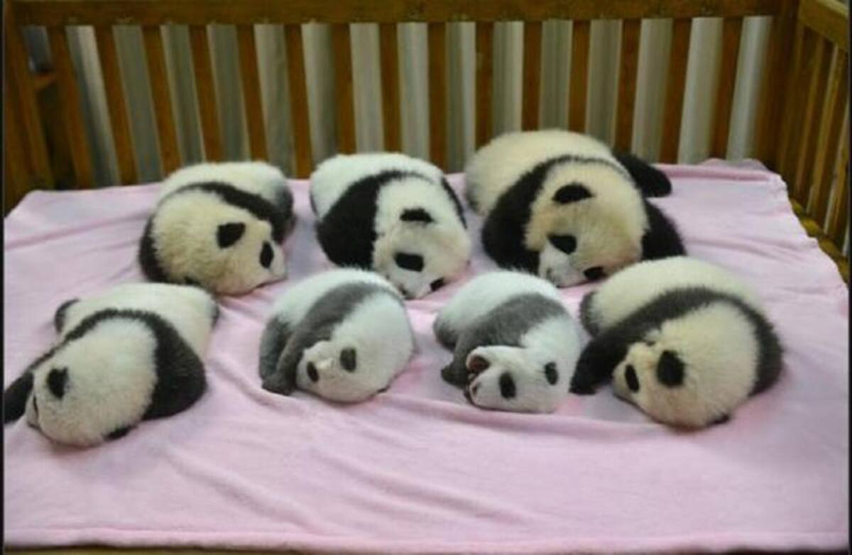 Foto:http://www.huffingtonpost.es/