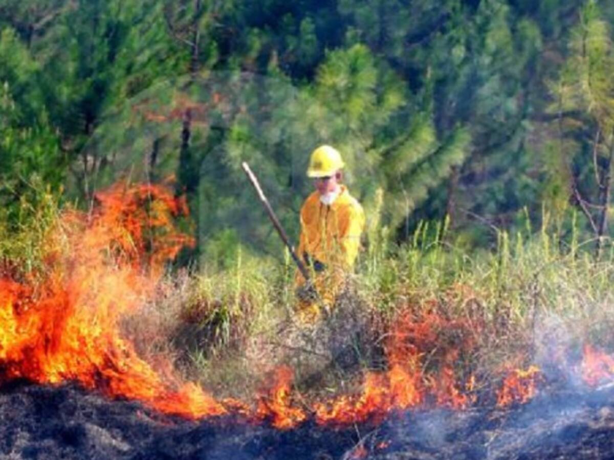 El Ideam mantiene alerta roja y naranja por posibles incendios forestales