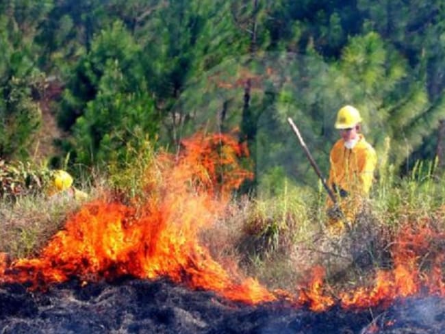 El Ideam mantiene alerta roja y naranja por posibles incendios forestales