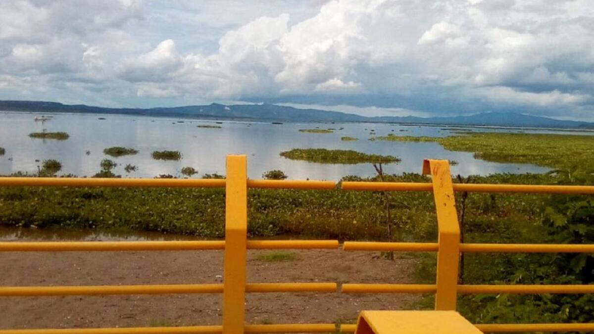 Pescadores alertan por bajos niveles del Embalse del Guajaro en el Atlántico