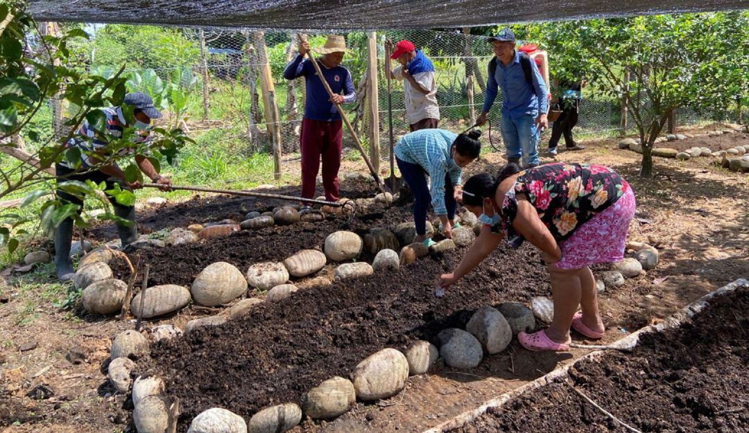La gran mayoría de solicitudes en el Huila proviene de Pitalito, Garzón, La Plata y San Agustín.